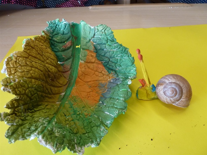 Schnecken cycle 2.1 201314 4